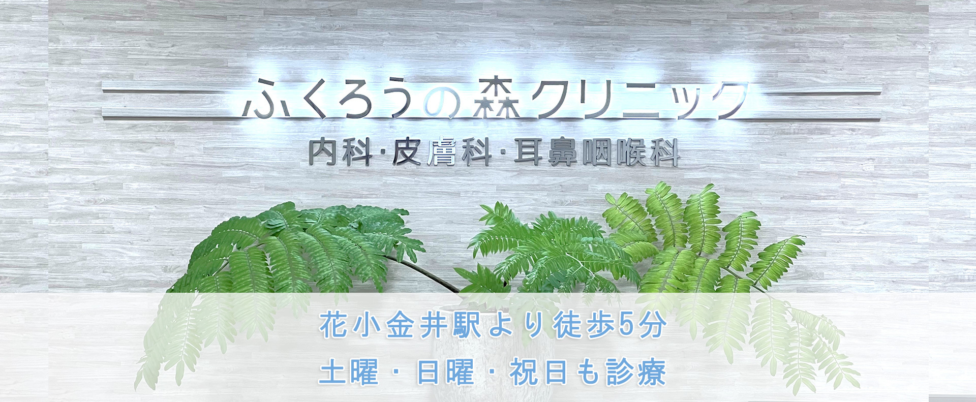 ふくろうの森クリニック｜耳鼻咽喉科・内科・皮膚科